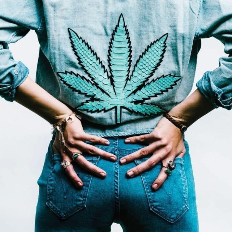 9 Best Cannabis Clothing Lines in 2024 Market Share Group