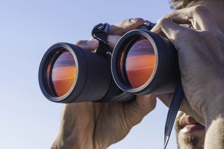 5 Best Binoculars for Bird Watching Market Share Group